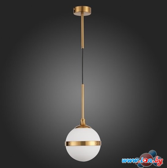 Подвесная люстра ST Luce Arbe SL1157.303.01 в Гродно