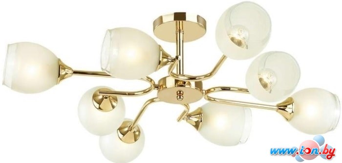 Припотолочная люстра Lumion Jolene 4546/8C в Могилёве