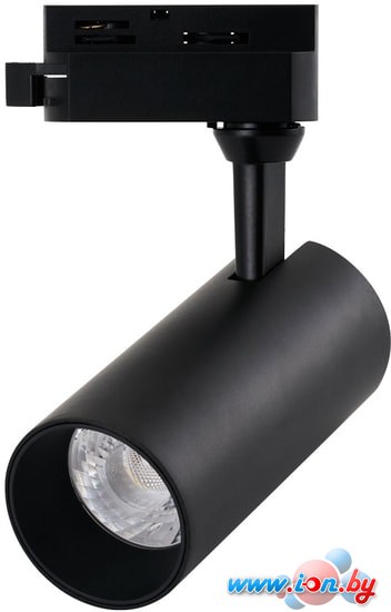 Трековый светильник Arte Lamp Regulus A4568PL-1BK в Гомеле