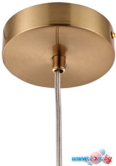 Подвесная люстра Arte Lamp Cameron A7720SP-1AB в Гродно