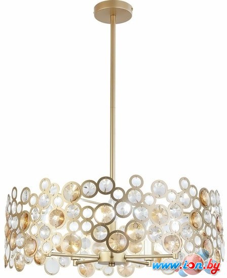 Подвесная люстра ST Luce Namio SL1172.203.05 в Гродно