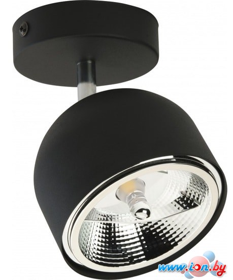 Спот TK Lighting Altea 3419 в Бресте