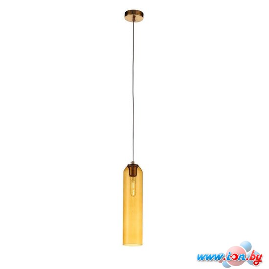 Подвесная люстра ST Luce Callana SL1145.393.01 в Гродно