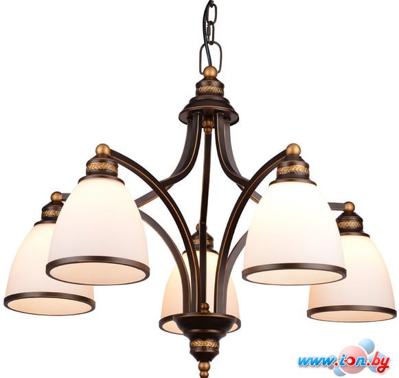 Подвесная люстра Arte Lamp Bonito A9518LM-5BA в Могилёве