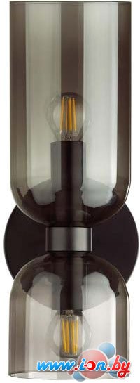 Бра Odeon Light Orinoco 4804/2W в Бресте