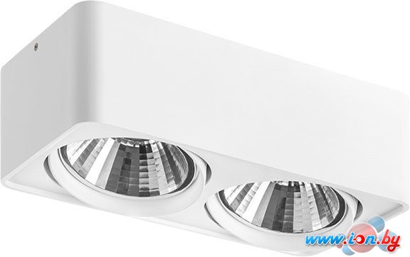 Точечный светильник Lightstar Monocco 212626 в Бресте