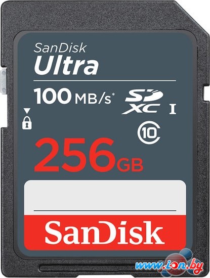 Карта памяти SanDisk Ultra SDXC SDSDUNR-256G-GN3IN 256GB в Гомеле