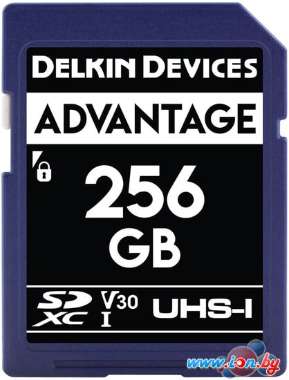 Карта памяти Delkin Devices SDXC Advantage UHS-I 256GB в Гродно