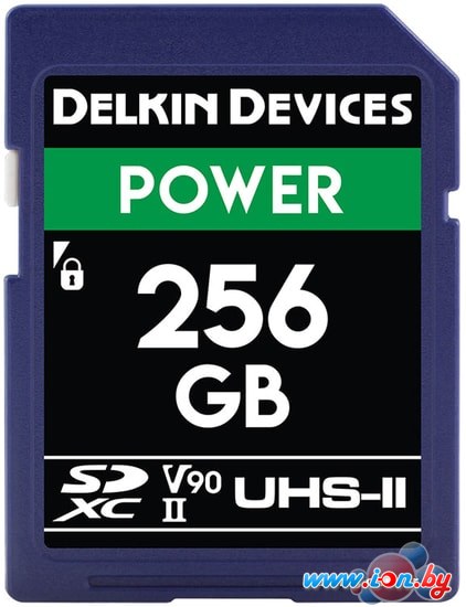 Карта памяти Delkin Devices SDXC Power UHS-II 256GB в Гродно