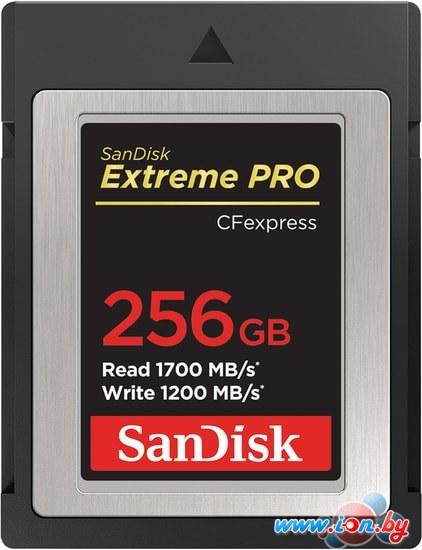 Карта памяти SanDisk Extreme Pro CFexpress Type B SDCFE-256G-GN4NN 256GB в Могилёве