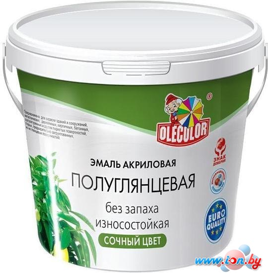 Эмаль Olecolor Полуглянцевая 800 г (серый) в Гомеле