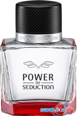 Antonio Banderas Power Of Seduction EdT (50 мл) в Бресте