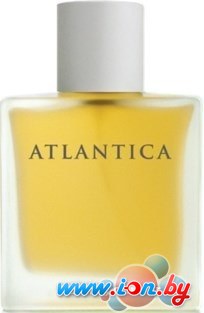 Dilis Parfum Atlantica Taboo EdT 100 мл в Гомеле