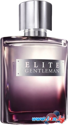 Avon Elite Gentleman EdT (75 мл) в Бресте