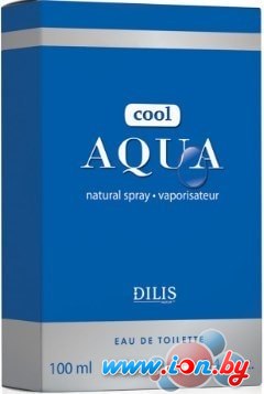 Dilis Parfum Cool Aqua EdT 100 мл в Бресте