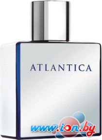 Dilis Parfum Atlantica Mercury EdT 100 мл в Могилёве