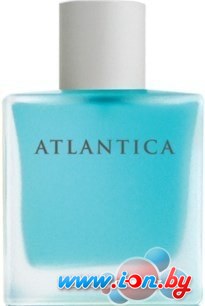 Dilis Parfum Atlantica Alpha&Omega EdT 100 мл в Могилёве