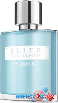 Avon Elite Gentleman Weekend EdT (75 мл) в Могилёве