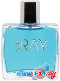 Dilis Parfum Blue Ray EdT 100 мл в Могилёве