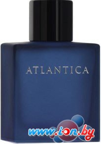 Dilis Parfum Atlantica Odyssey EdT 100 мл в Могилёве