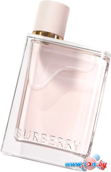 Burberry Her EdP (100 мл) в Могилёве