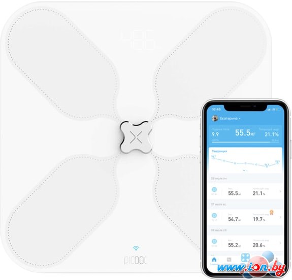 Напольные весы Picooc S3 V2 в Могилёве