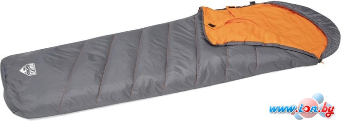 Спальный мешок Bestway Hiberhide 5 230 (серый) в Гомеле