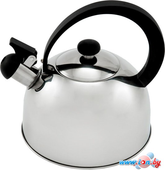 Чайник со свистком Добрыня DO-2904 в Могилёве