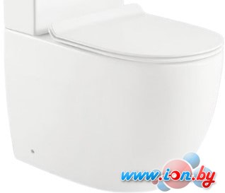 Унитаз BelBagno Sfera-R BB2141CPR в Могилёве