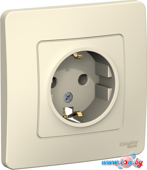 Розетка Schneider Electric Blanca BLNRS001012 в Могилёве