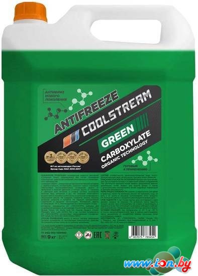 Антифриз Coolstream GREEN 9 кг в Могилёве