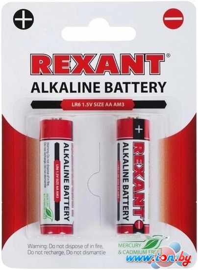 Батарейки Rexant AA/LR6 2шт 30-1050 в Витебске