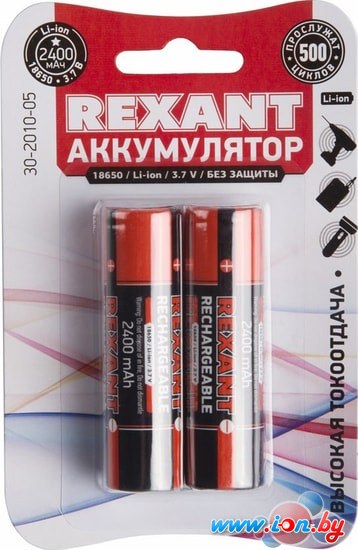 Аккумуляторы Rexant 18650 2400mAh 2шт 30-2010-05 в Могилёве