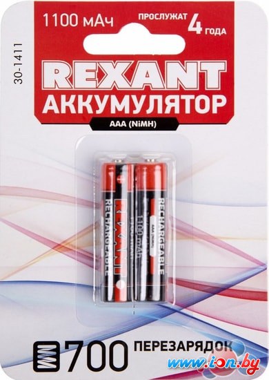 Аккумуляторы Rexant AAA 1100mAh 2шт 30-1411 в Гродно