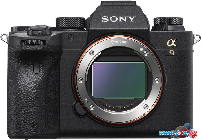 Беззеркальный фотоаппарат Sony Alpha a9 II Body в Витебске