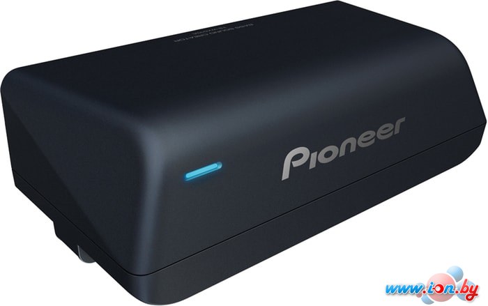 Корпусной активный сабвуфер Pioneer TS-WX010A в Бресте