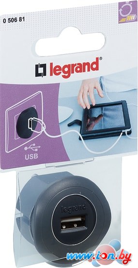 Сетевое зарядное Legrand 50681 в Гродно