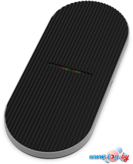 Сетевое зарядное Ritmix RM-4000W в Могилёве