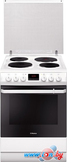 Кухонная плита Hansa FCEW682109 в Могилёве