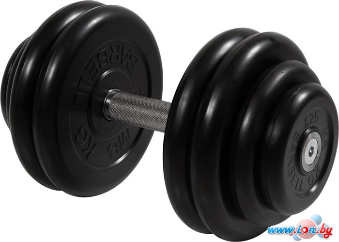 Гантели MB Barbell Профи 28.5 кг (вращающаяся ручка) в Гомеле