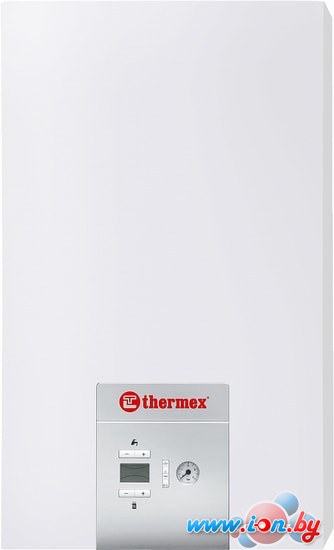 Отопительный котел Thermex EuroElite F40 в Могилёве