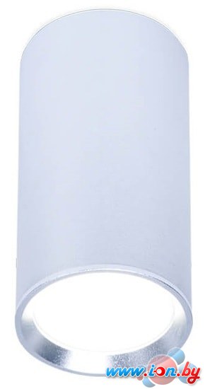 Точечный светильник Ambrella light TN219 SL/S в Могилёве