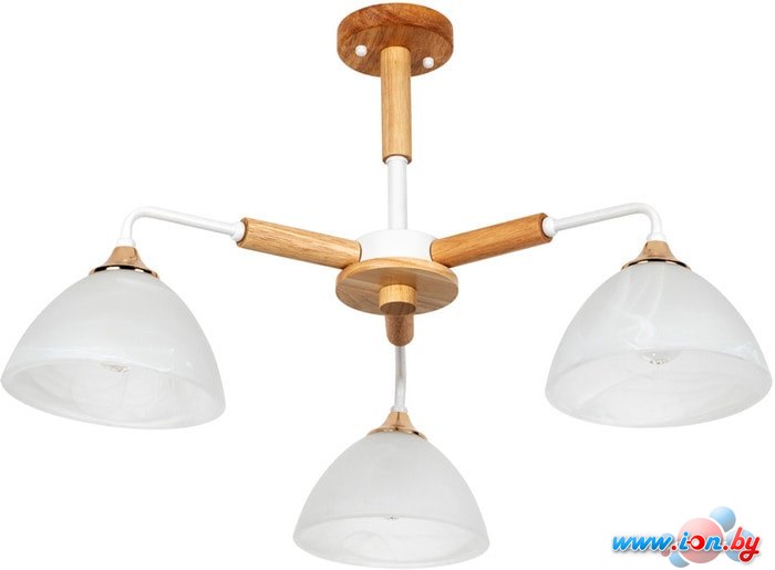 Люстра средней высоты Arte Lamp Matthew A5032PL-3BR в Гомеле