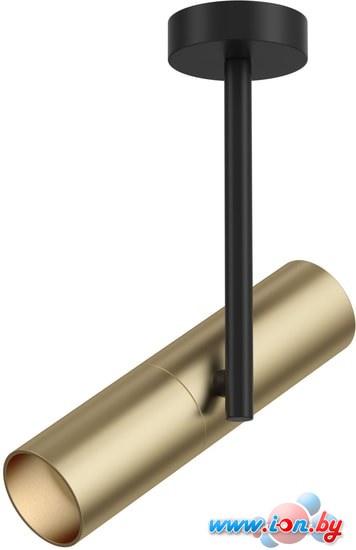Точечный светильник Maytoni Elti C020CL-01GB в Могилёве