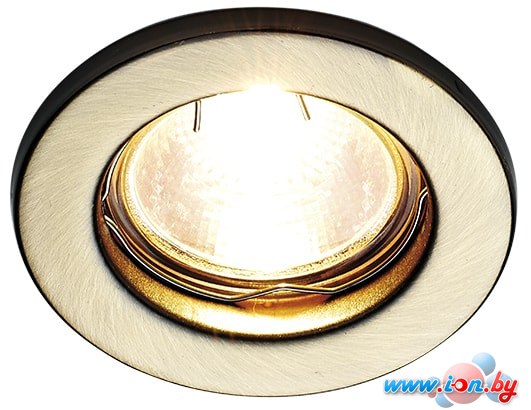 Точечный светильник Ambrella light Organic Spot FT9210 SB в Могилёве