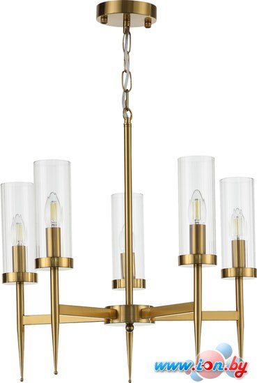 Подвесная люстра ST Luce Acazio SL1159.303.05 в Гродно