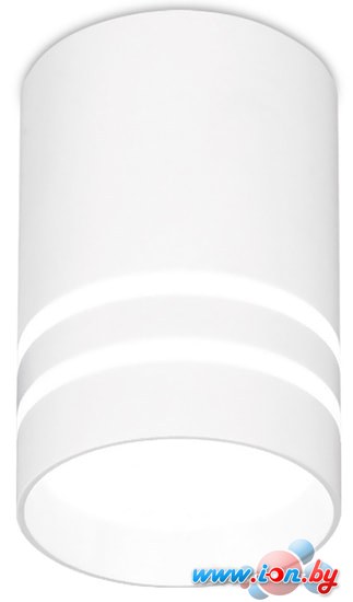 Точечный светильник Ambrella light Techno Spot TN235 WH/S в Могилёве