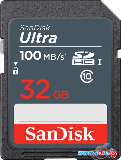 Карта памяти SanDisk Ultra SDHC SDSDUNR-032G-GN3IN 32GB в Гомеле