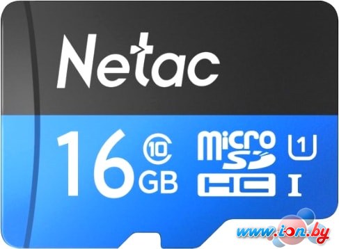 Карта памяти Netac P500 Standard 16GB NT02P500STN-016G-S в Минске