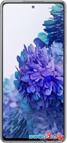 Смартфон Samsung Galaxy S20 FE SM-G780G 6GB/128GB (белый) в Бресте
